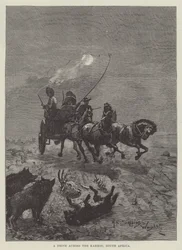 Eine Fahrt über die Karroo, Südafrika